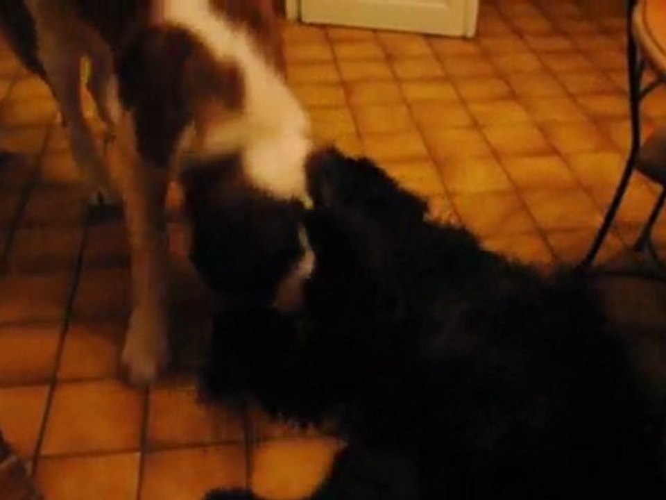 JB et UVEA