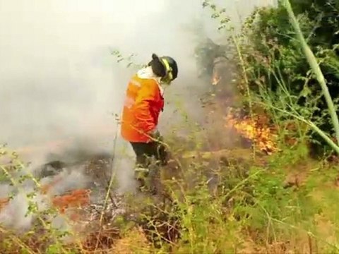 Le Journal vidéo du mercredi 4 janvier 2012, édition de 18H00.