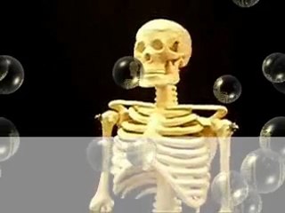 الإعجاز العلمى فى السنة النبوية وعدد مفاصل جسم الانسان