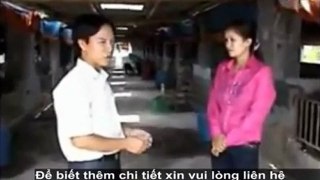 Cách ủ men vi sinh NN1 - chế phẩm men vi sinh NN1 dùng trong chăn nuôi heo, gà, vịt ... phần 6