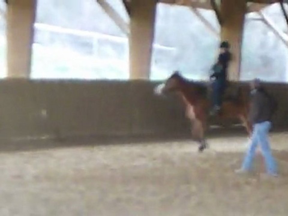 equitation western