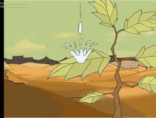 l'Eau cest la vie