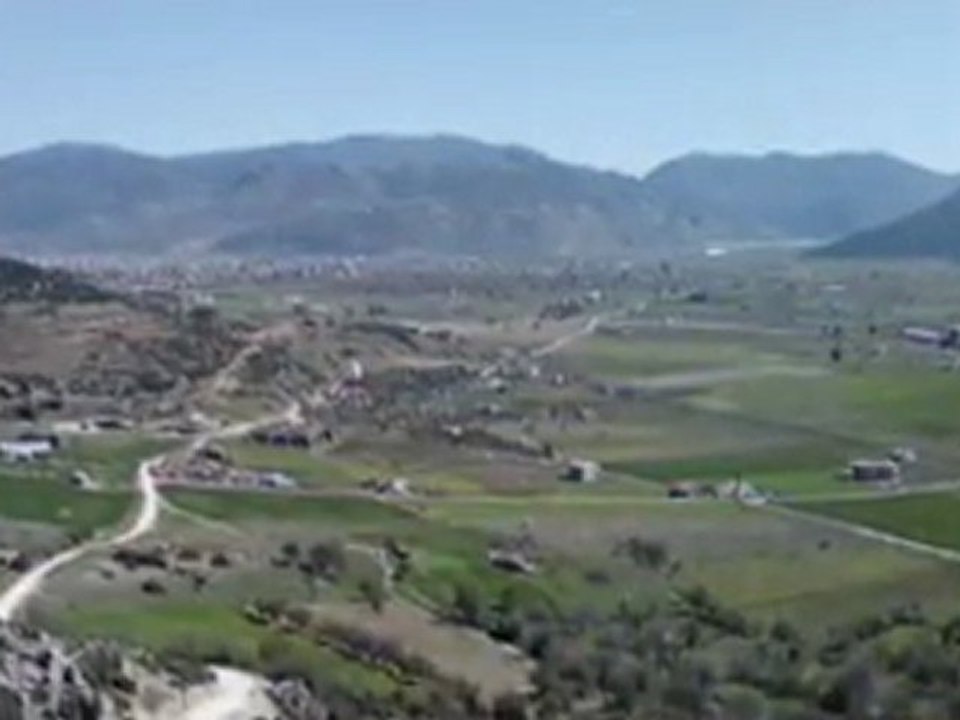 MERCAN ALAGÖZ - NAR TANESİ