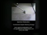 Affordable Commercial Carpet Cleaning Chicago | Spectrum Restoration Chicago. (312) 236-3900