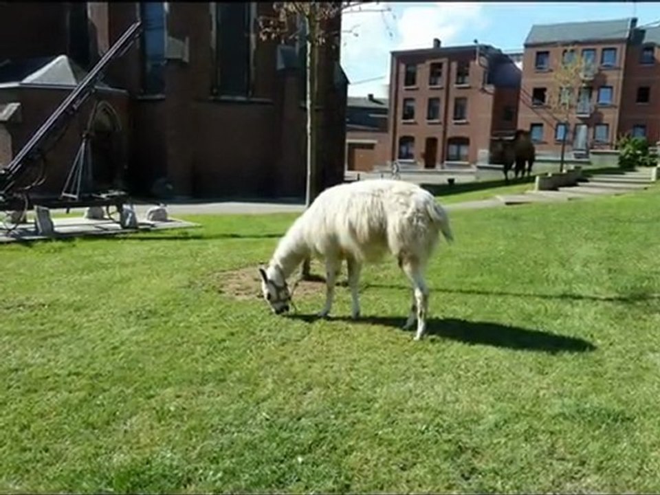 année 2011 - mois de septembre - nº 41