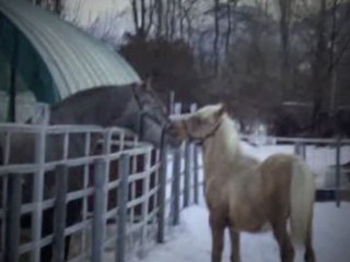 It could be paradise