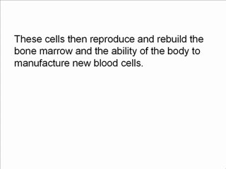 Stem Cell Treatment vs Diet For Diabetes