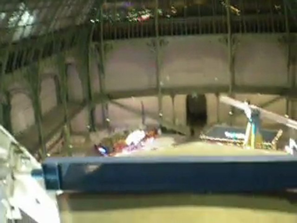 Jour de Fête à La Nef du Grand Palais 21-12-11