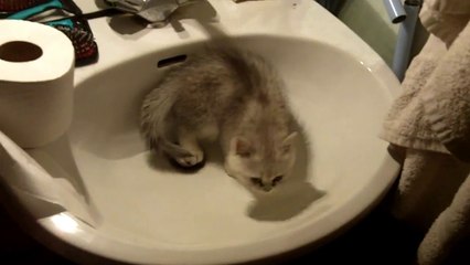 La choucroute, bordel !