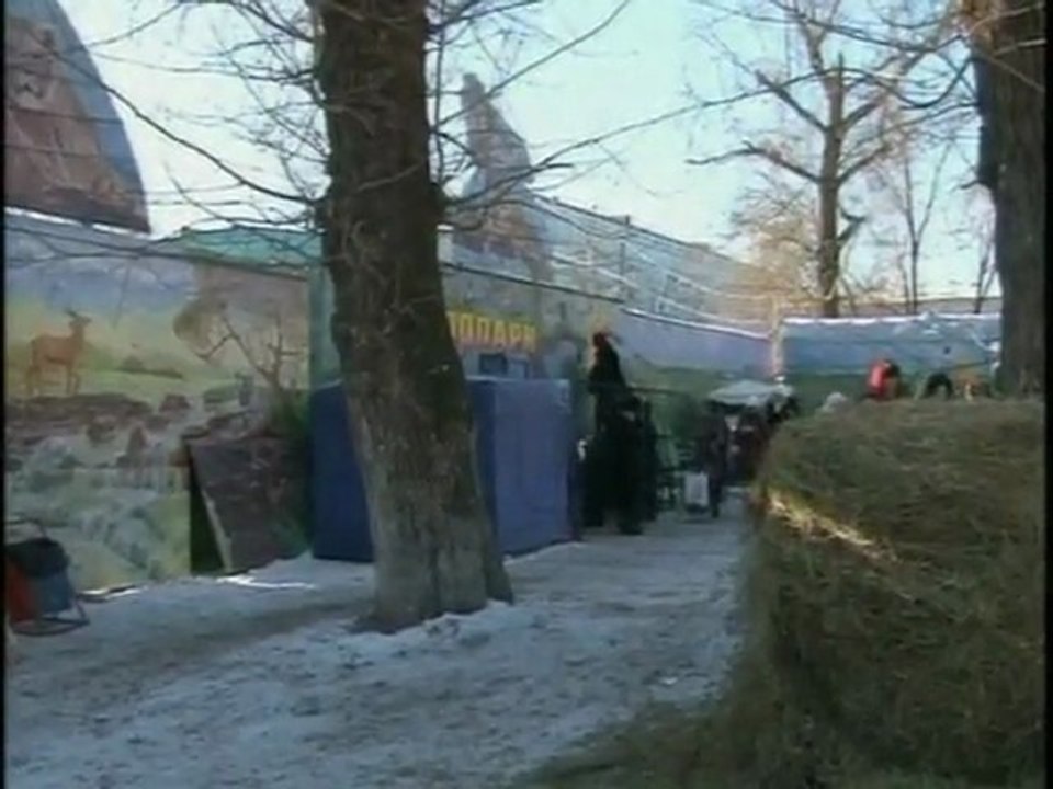 Boy critical after tiger attack