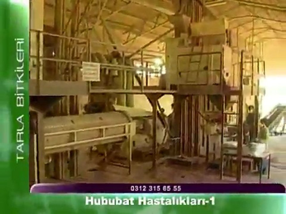 Hububat Hastalıkları 1. Bölüm