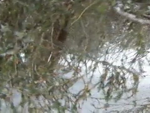 Ski hors piste à Saint Gervais