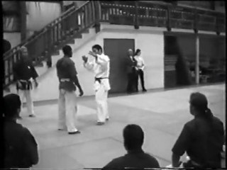 -Entrainement au Yoseikan à Marignane en 1999 et un stage à Bourg de péage 1998 -