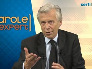 Xerfi Canal Christian Schmidt Neuroéconomie et neurofinance