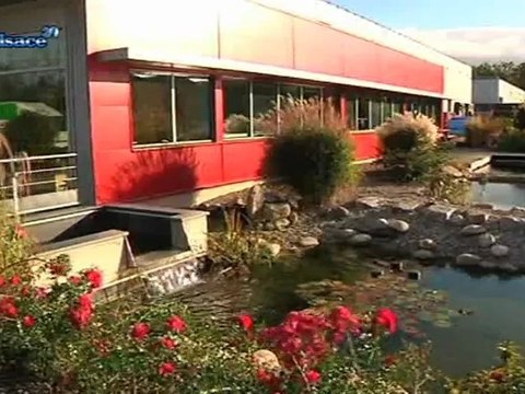 In'Alsace: des bassins de baignade naturels!