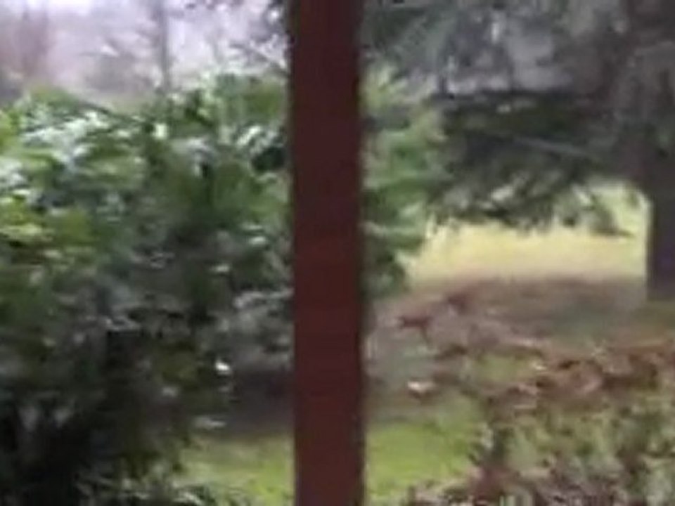 tempête 050112