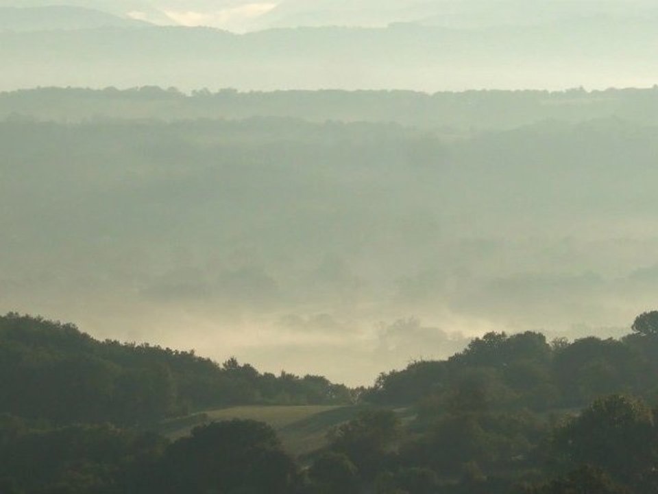 Lionel Loetscher  « Nature/neitHFr/Natures »