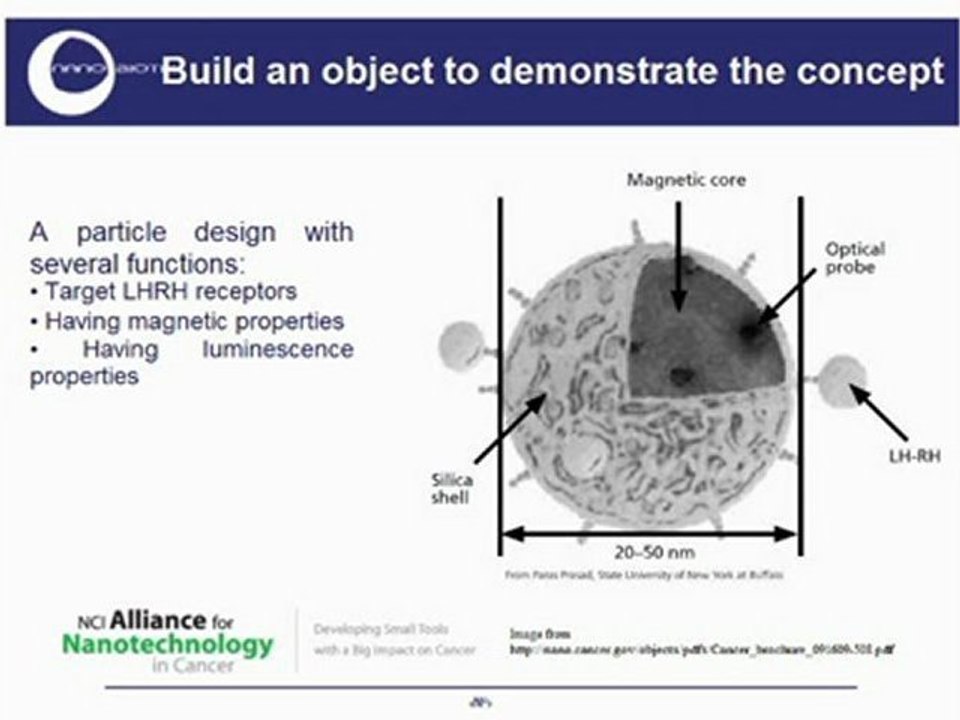 Laurent Levy - From Nanotechnology to Nanomedicine (In French)