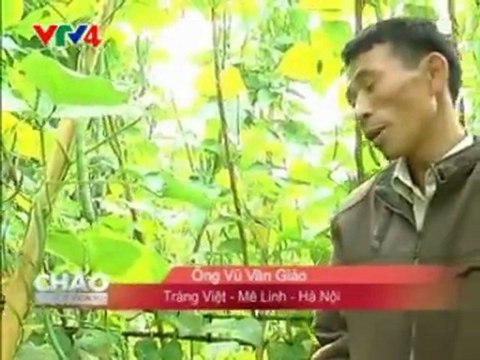 VTV4 - Chế Phẩm Sinh Học Vườn Sinh Thái - Phân bón sinh học thế hệ mới - Trồng rau sạch
