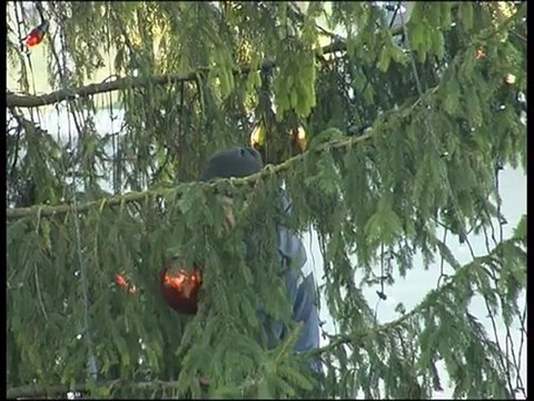 PanTV zinios 2012 01 03