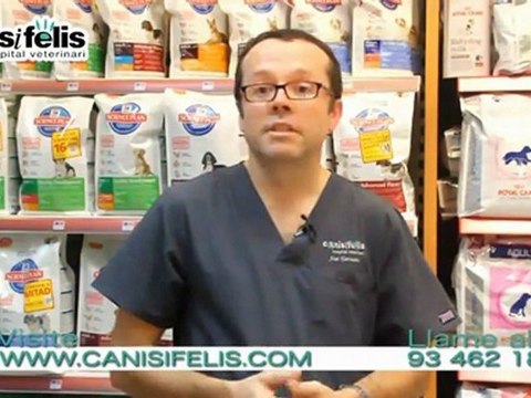 Nutrición en perros. Alimentación para perros en Barcelona.