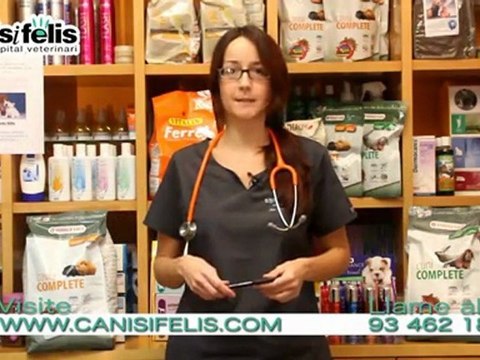 Nutrición en loros. Alimentación para loros en Barcelona.