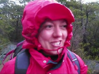 Los Saltos de Petrohue