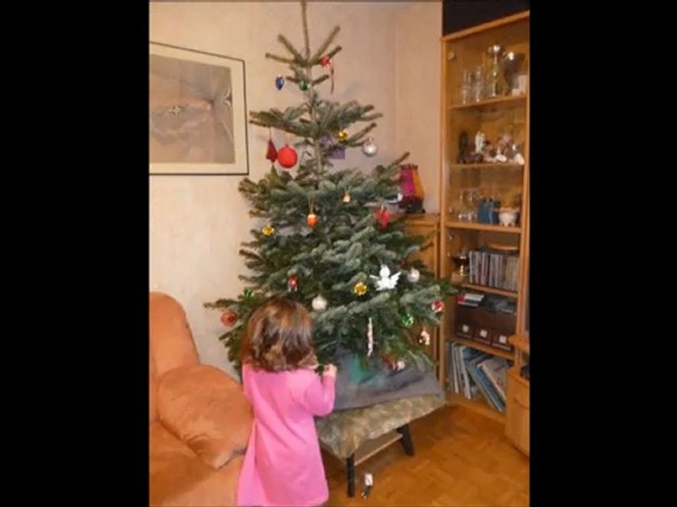 mon bô sapin
