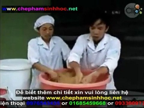 Video hướng dẫn cách ủ men vi sinh NN1 với thành phẩn cắm bắp (ngô) + cám gạo + bột sắn cho gia súc, gia cầm 3