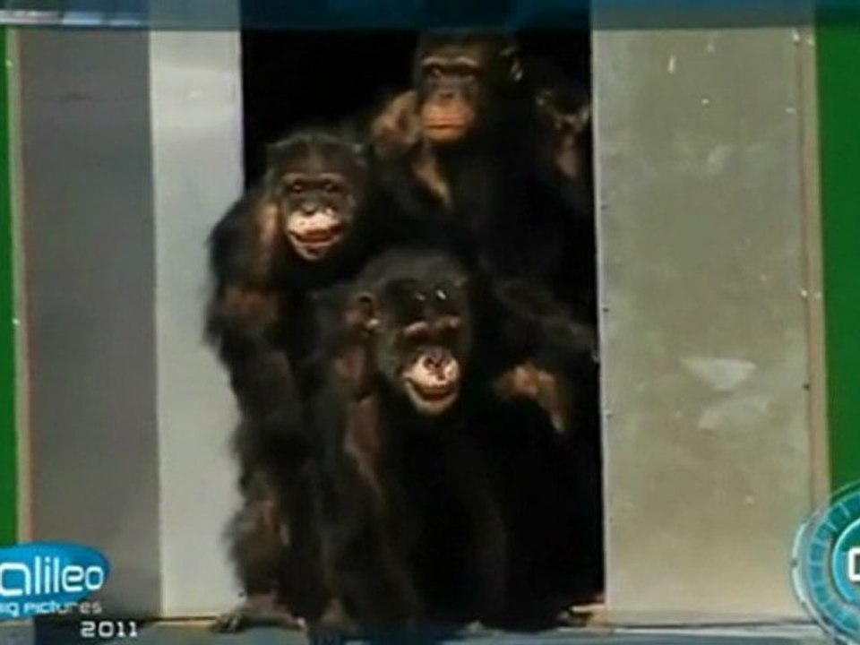 Big Pictures Jahresrückblick 2011 - Galileo - Video Platz2