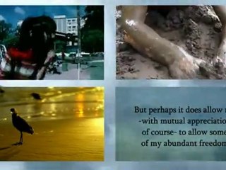 Svoboda - Freedom - Vrijheid