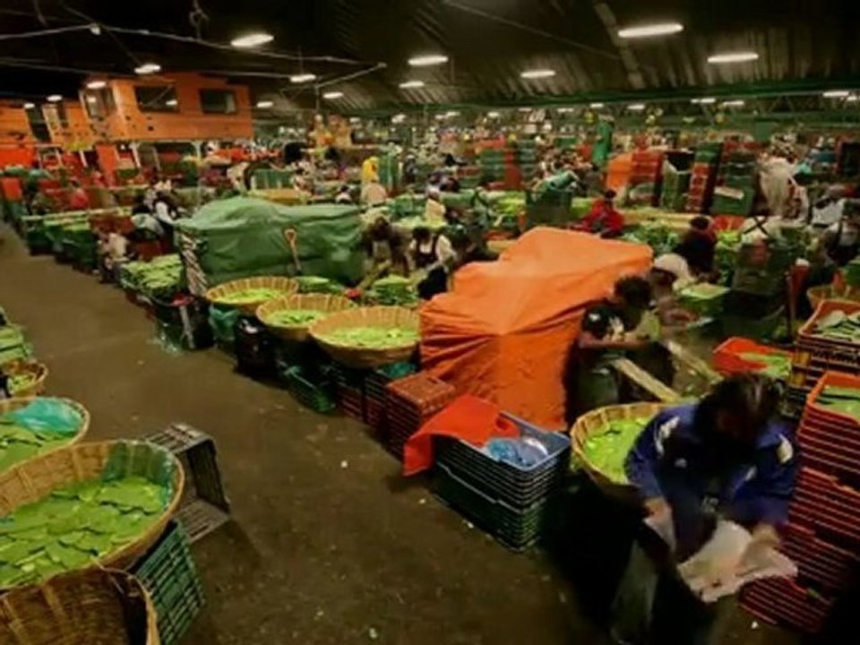 ESTO ES MÉXICO - THIS IS MEXICO