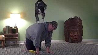 Cool Dog Trick - Backstall All Fours