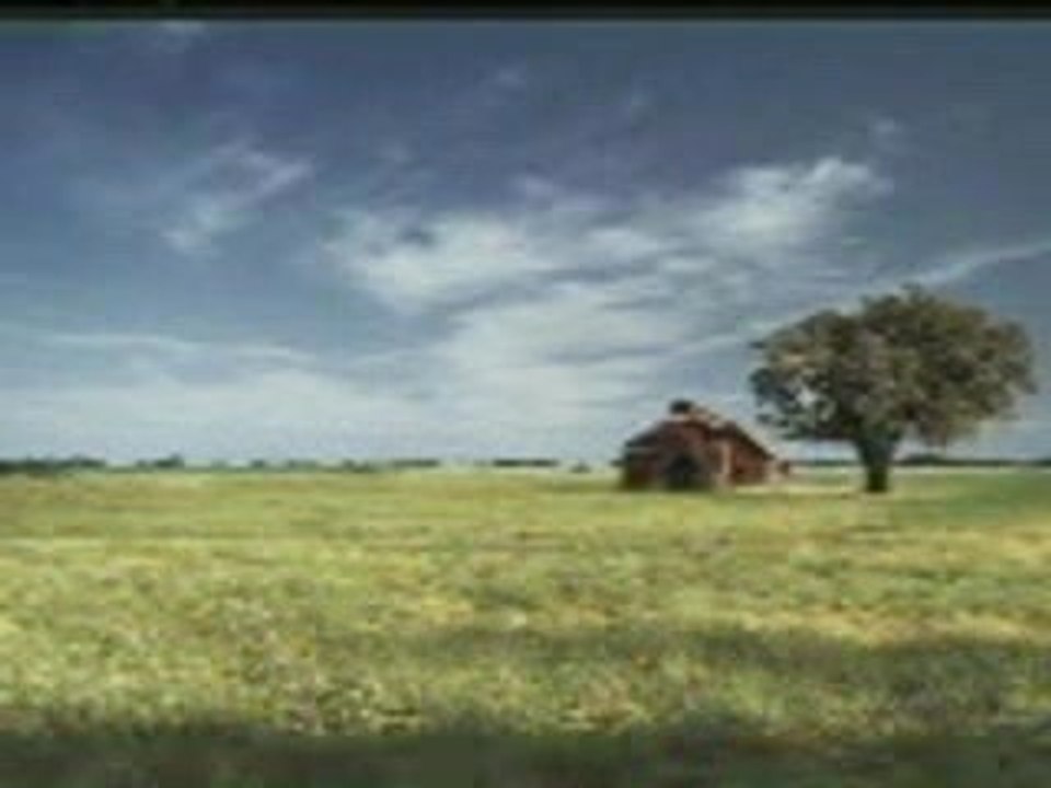 Pub humour - Tabasco