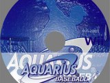 Aquarius Baseball Wii ISO Download (JAPAN)
