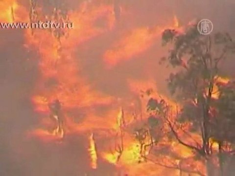 В Австралии и Новой Зеландии начались пожары