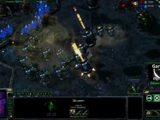 GG de mules par ThorZaIN