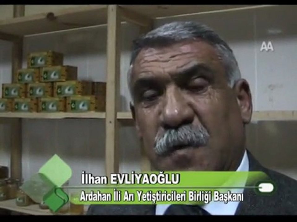 ARDAHAN BALI MARKA OLACAK 03012012