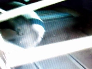 Blacksheep Van location de VW california / California campervan rental