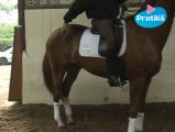 Equitation - la flexibilité du dressage