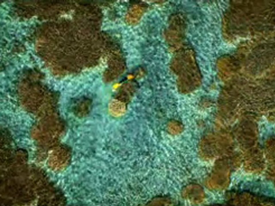 Présentation de l'ile de la Réunion