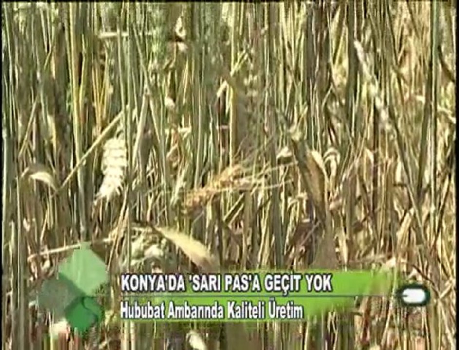 KONYA’DA ‘SARI PASA’A GEÇİT YOK 02012012