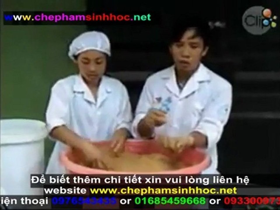 Cách ủ men vi sinh NN1 - hướng dẫn sử dụng men vi sinh, sử dụng cho gia súc, gia cầm NN1 phần 3