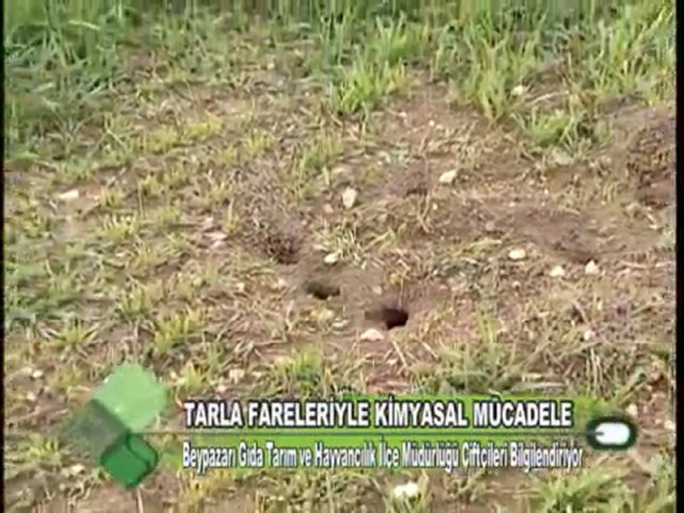 TARLA FARELELERİYLE KİMYASAL MÜCADALE 05.01.2012