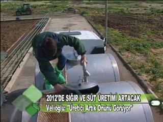 2012'DE SIĞIR VE SÜT ÜRETİMİ ARTACAK 06.01.2012