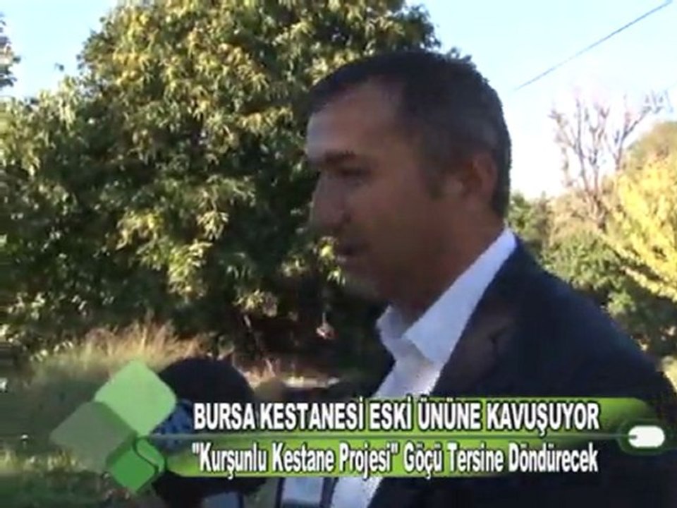BURSA KESTANESİ ESKİ ÜNÜNE KAVUŞUYOR 06.01.2012