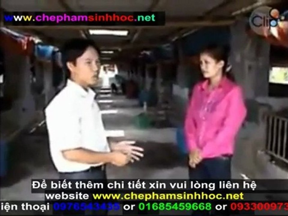 Cách ủ men vi sinh NN1 - hướng dẫn sử dụng men vi sinh, dử dụng cho gia súc, gia cầm NN1 phần 6