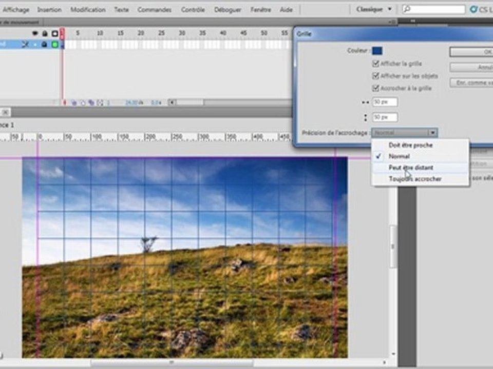 Flash CS5 : Utiliser la grille