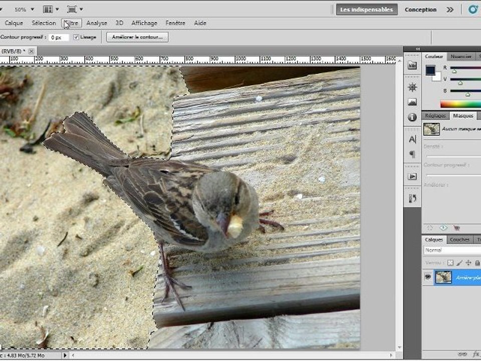 Photoshop CS5 : Flou sur l'arrière-plan pour mettre en valeur le sujet