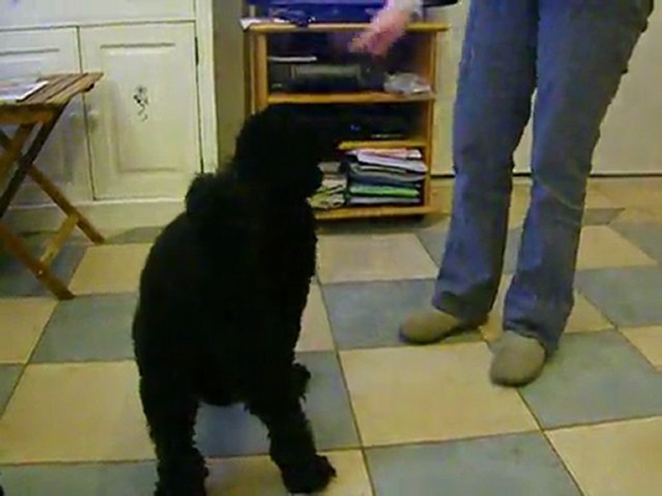 cote twist cote demitour cercle avnt et arriere